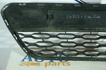 instock865611W200 - Решетка радиатора Фото 2